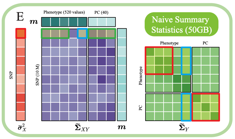 NSS matrix structure